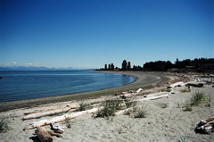 Waterfront