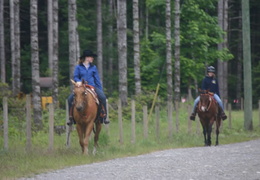 Horseback Riding (484 visits) Adventure in the back country Adventure in the country Horseback Riding