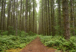 Beaver Forest Lands (552 visits) Hiking & Biking & Horseback Riding Hiking & biking & horseback riding Beaver Forest Lands
