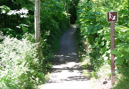 River Trail (462 visits) Hiking and biking River Trail