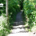 River Trail (2574 visits) Hiking and biking River Trail