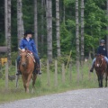 Horseback Riding