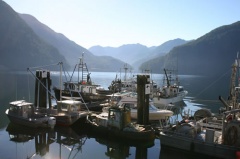 Marina Mist