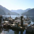 Marina Mist