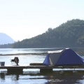 Tenting (2955 visits) Tent set up on docks Camping on docks Tenting