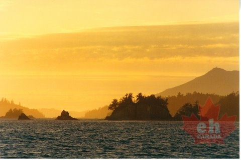 Coastal Sunset