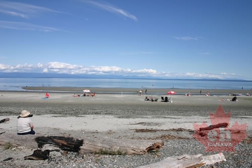 Beachcombing