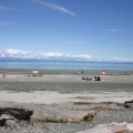 Beachcombing