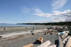 People amongst the Driftwood