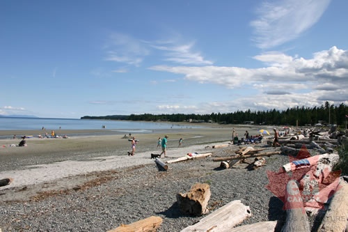 People amongst the Driftwood