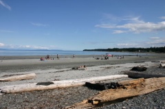 beach 006.jpg