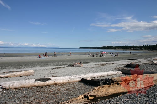 beach 006.jpg