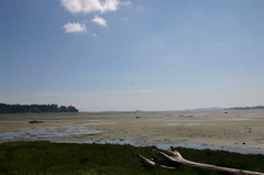 comox_valley 040.jpg