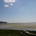 Low Tides