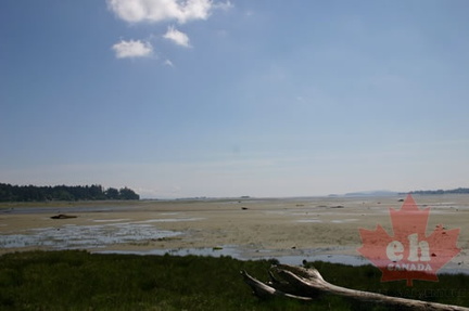 Low Tides