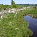 Wetlands