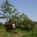 Viewing Bench