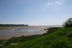 comox_valley 049.jpg