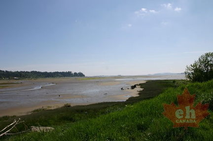 Comox Harbour