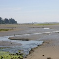 comox_valley 055