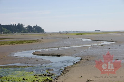 comox_valley 055