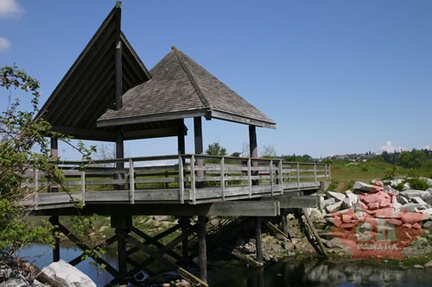 comox_valley 056