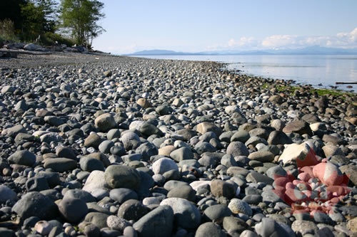 comox_valley 064.jpg