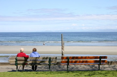 Viewing Bench