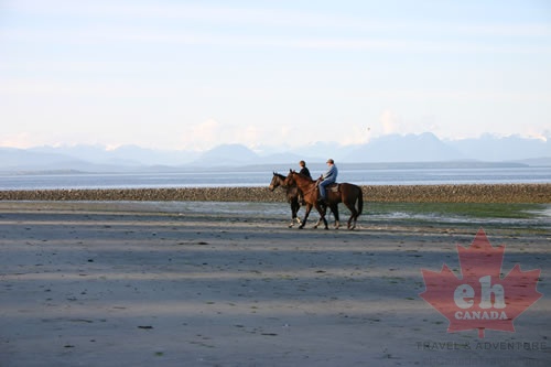 Riding Horses
