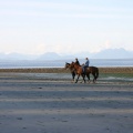 Riding Horses