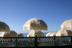 Umbrellas