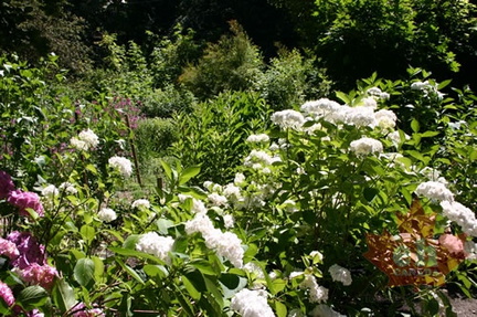 Flower Gardens