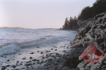 Rough Waves