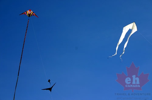 Kite Flying