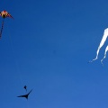 Kite Flying