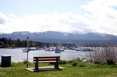 Marina Views