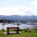 Marina Views