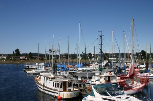 Marina