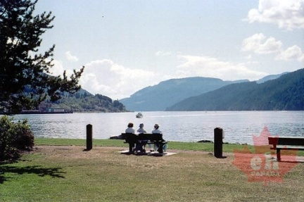 Viewing Bench