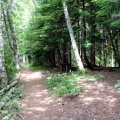 Hiking Trail