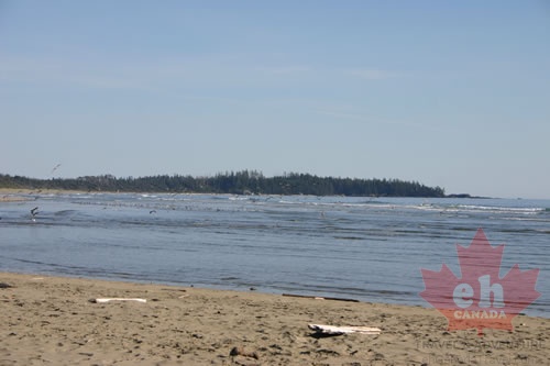 Beach Views
