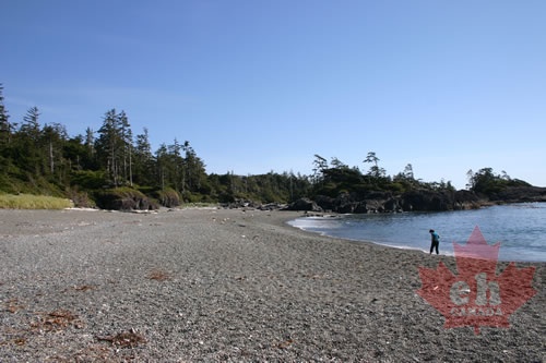 Beach Walk