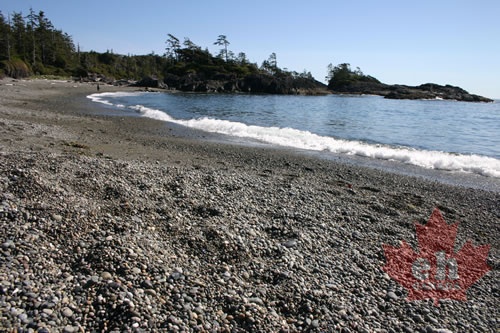Pebbled Beach