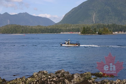 Tofino Harbour