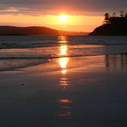 MacKenzie Beach