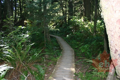 Nuu-chah-nulth Trail