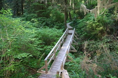 Trail Bridge