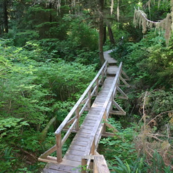 Rainforest Trail