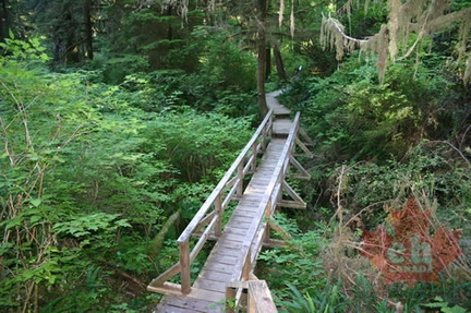 Trail Bridge