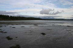 Schooner Cove